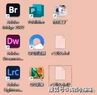 苹果电脑是中文版吗:电脑里的DWL和DWL2格式到底是什么文件？可以删掉吗？
